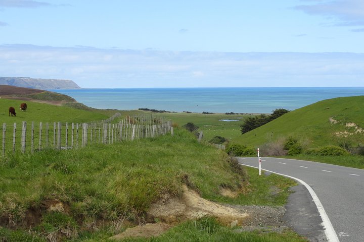 "Pinot to Palliser tour" - Guided tour to Cape Palliser vith lunch + winetasting