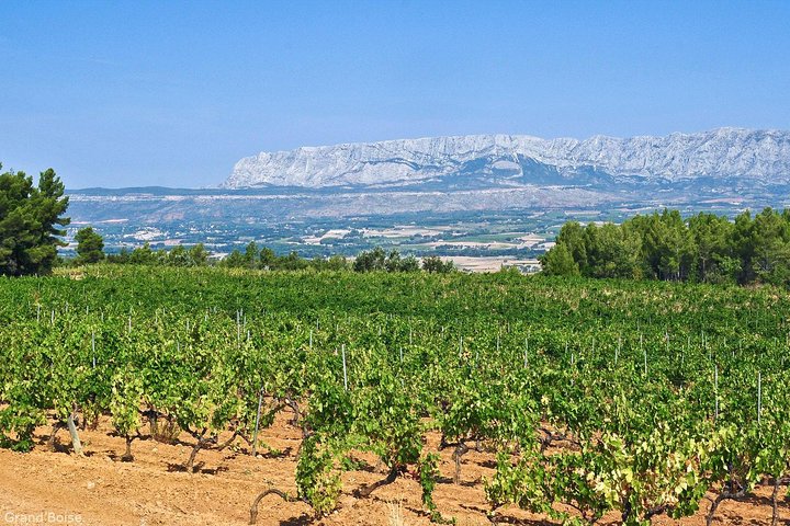 Half day Wine Tour in Côtes de Provence Sainte-Victoire from Aix en Provence
