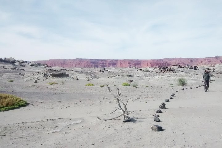 Ischigualasto National Park - Moon Valley