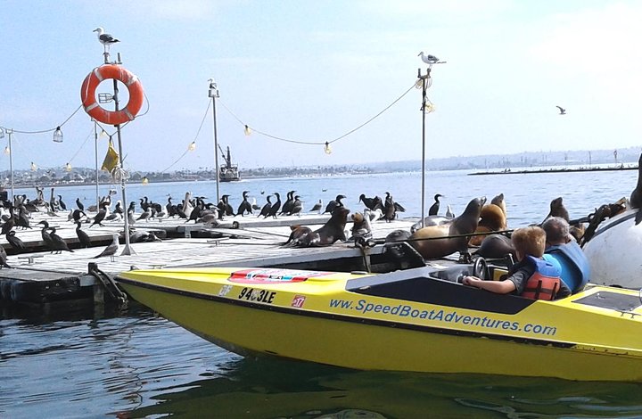 San Diego Harbor Speed Boat Adventure