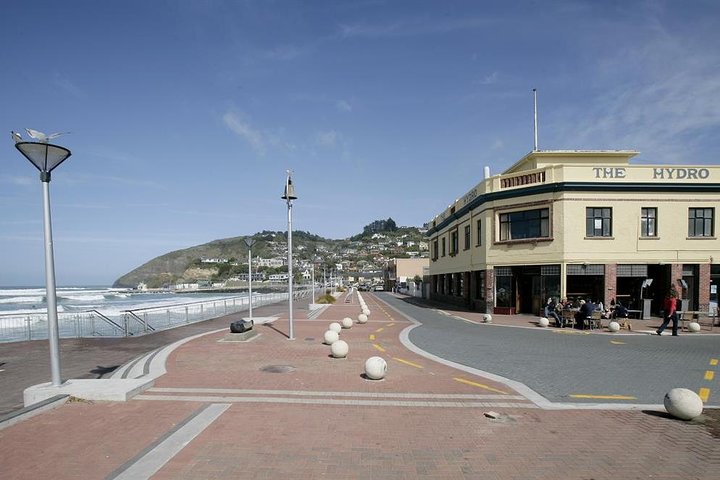 Dunedin City and Coastal Views 3-Hour Small-Group Guided Tour