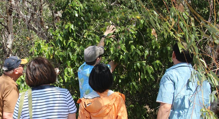 Magnetic Island Tour Maggie Comprehensive