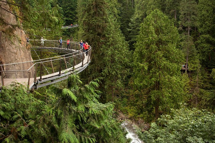Grouse Mountain, Skyride Gondola & Capilano Bridge from Vancouver