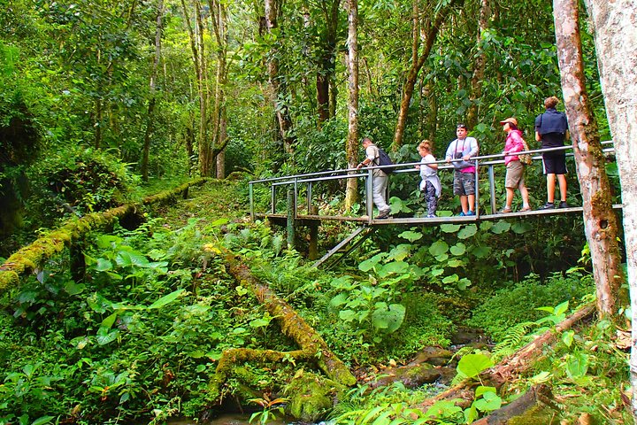 Cloud Forest Hike 8:30am Pipeline Trail(Min of 2 people required)