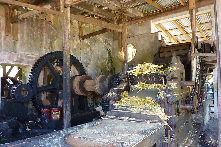 Full-Day Tour: Concord Waterfall, Chocolate Factory, Rum Distillery, Grand Etang