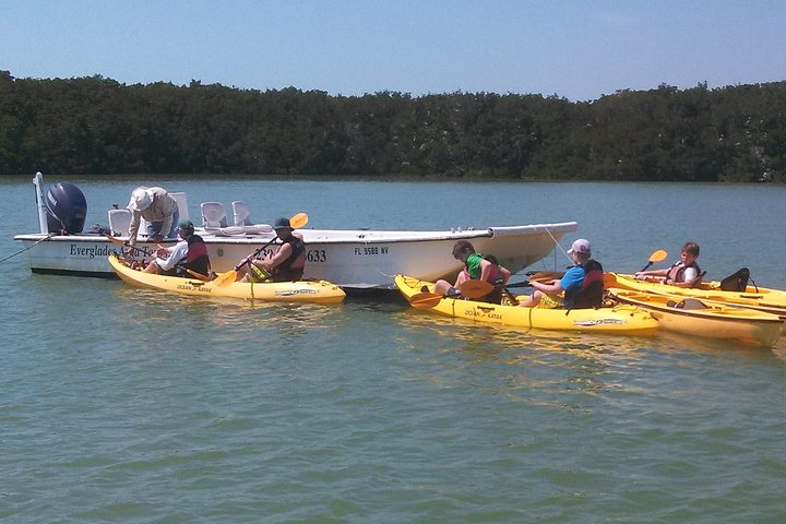 Small Group Boat, Kayak and Walking Guided Eco Tour Everglades