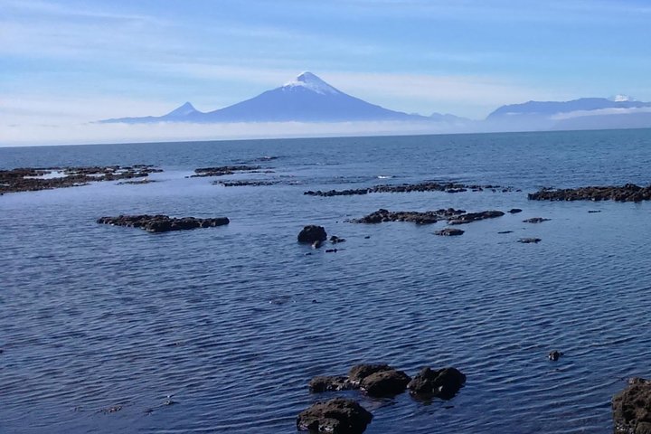 Private Shore Excursion Tour to Puerto Montt, Puerto Varas and Frutillar