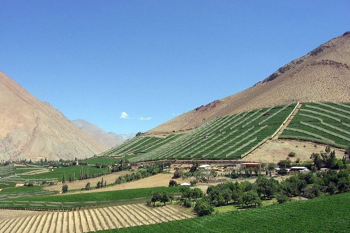Elqui Valley and Vicuna Private Tour Including Lunch