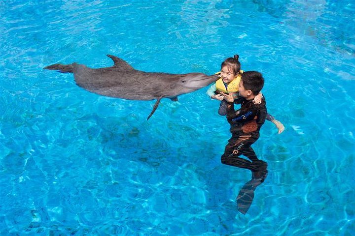 E-Ticket: Chimelong Ocean Kingdom and Circus & Hengqin Bay Hotel Combo
