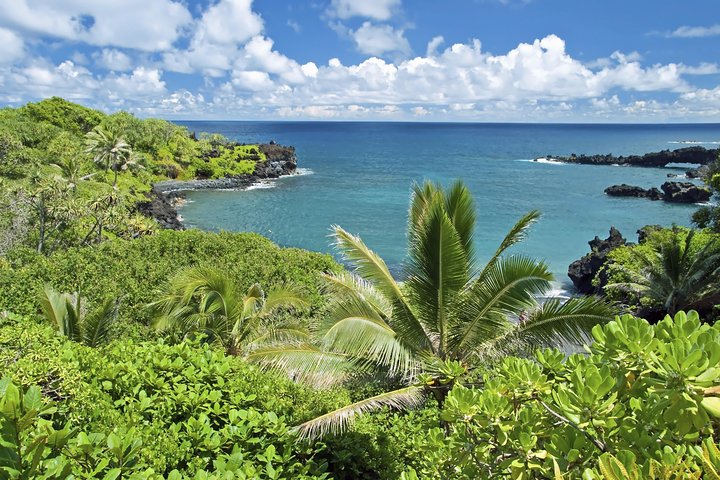 Small-Group Road to Hana Adventure Tour with Pickup & Lunch