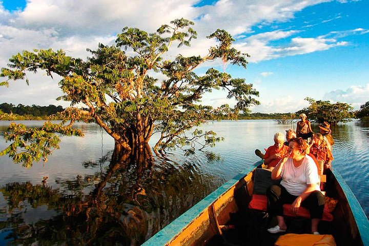 4-Day Ecuador Amazon Jungle Tour - Lodge in Cuyabeno Reserve