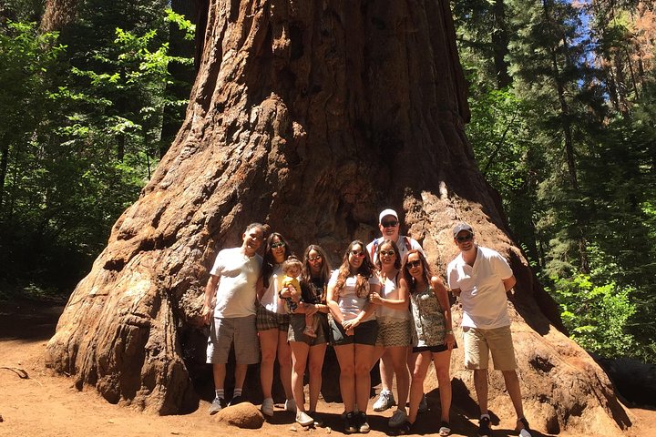 Off Road Giant Sequoia 4x4 Tour Yosemite National Park