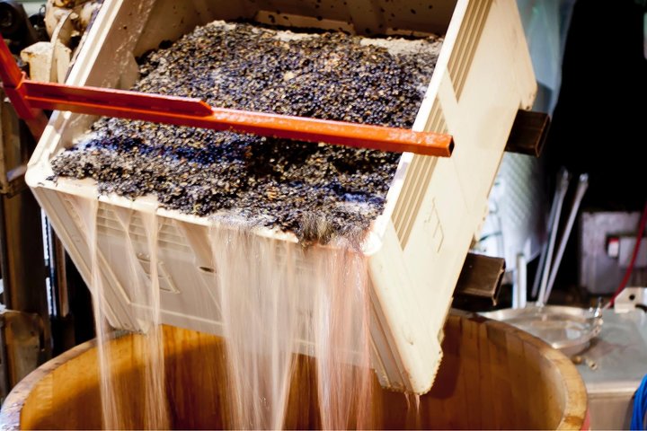 Private Wine Tour with Tastings from Eugene