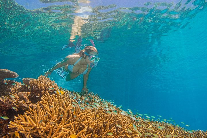Passions of Paradise Great Barrier Reef Cruise by Catamaran