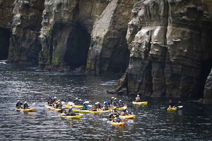 Original La Jolla Sea Cave Kayak Tour for Two