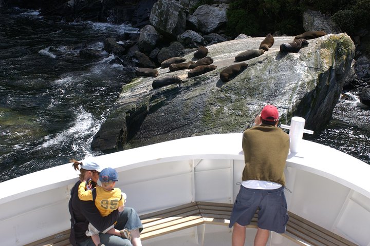 Cruise Milford NZ Small Boutique Cruise Experience