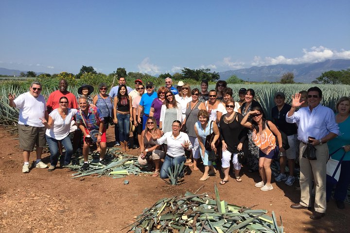José Cuervo Tequila Tour & Agave Fields from Guadalajara