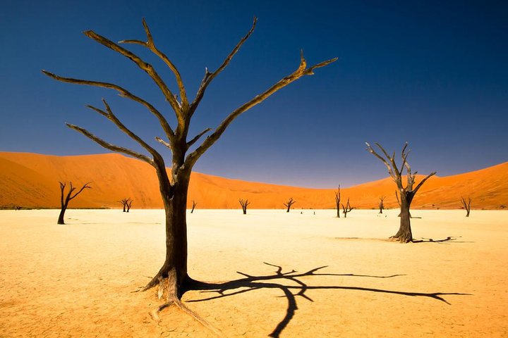 3-Day Namibia Desert Camping Tour from Windhoek