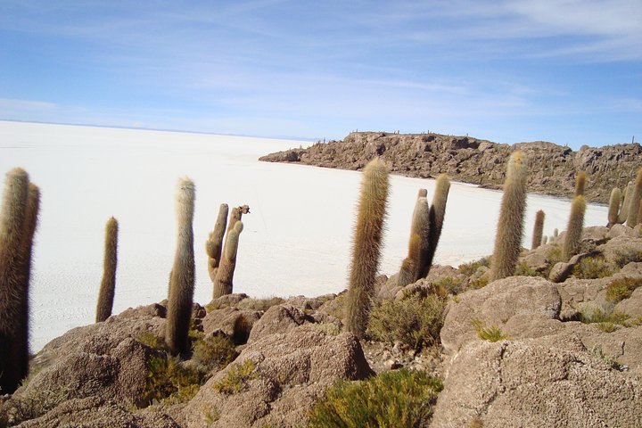 2-Days Uyuni Salt Flats including Laguna Colorada