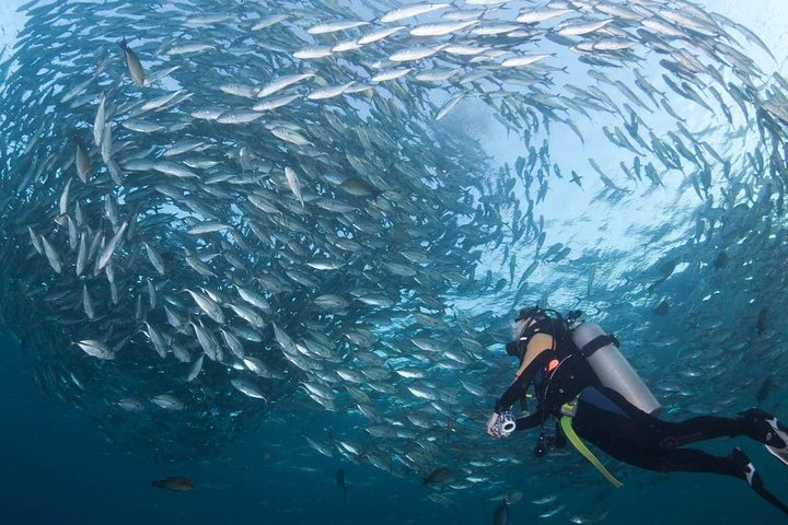 Tulamben Diving Tour Shipwreck USS Bali