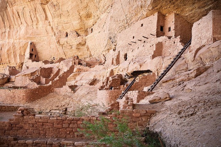 Mesa Verde Full Day Tour with Cliff Palace and Lunch