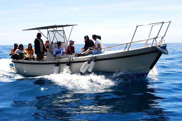 Private Cinque Terre Boat Tour