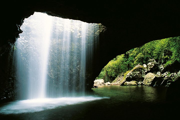Springbrook Waterfalls & Natural Bridge Tour from Gold Coast