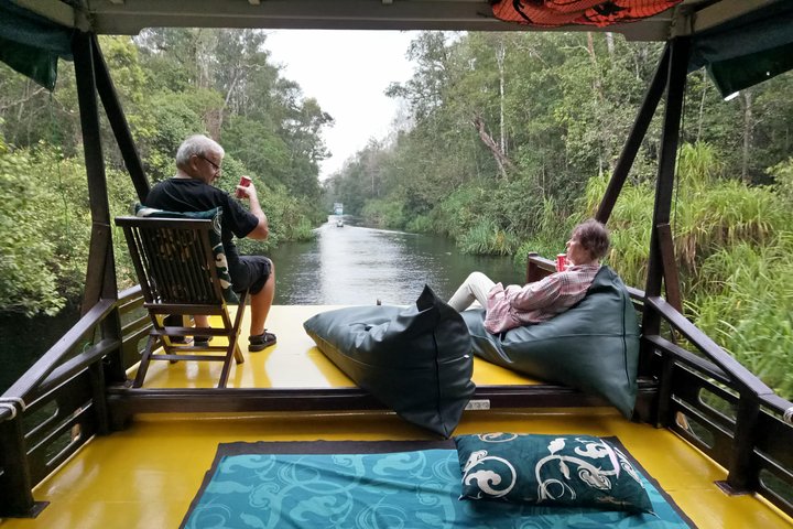 3ns Private Orangutan and Bornean Primates Kelotok Tour