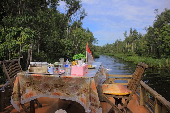 2Ns Orangutan Kelotok Tour in Tanjung Puting Kalimantan - Borneo