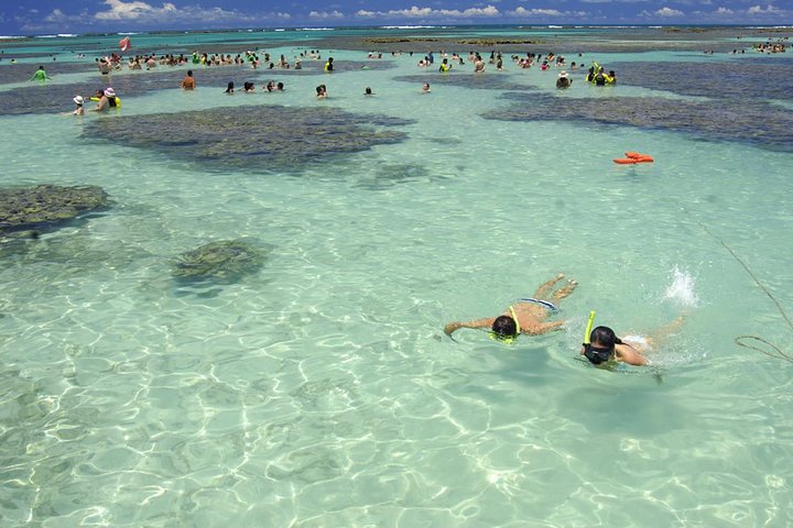 Maragogi Beach Gales Reef