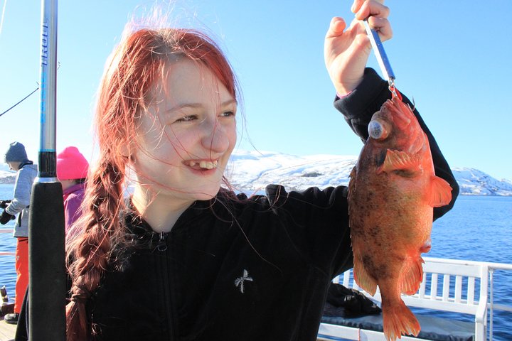 Tromsø: Arctic Fjord Cruise & Fishing Experience