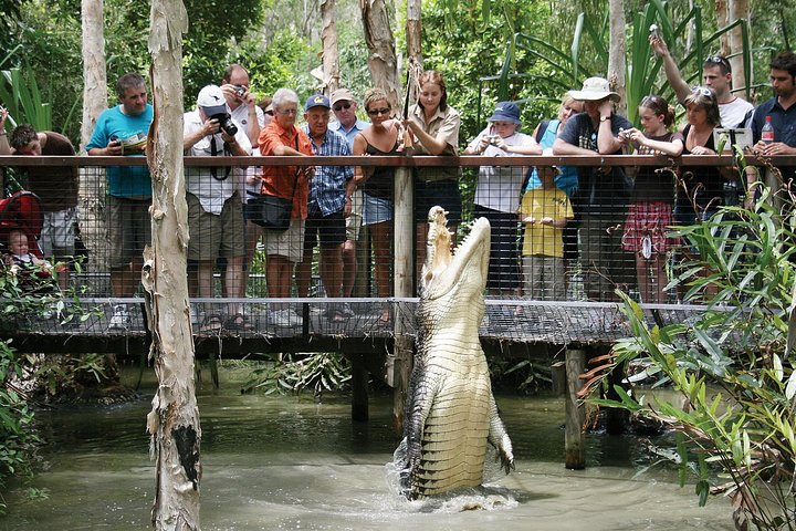Hartley’s Crocodile Adventures Half-Day Tour from Cairns