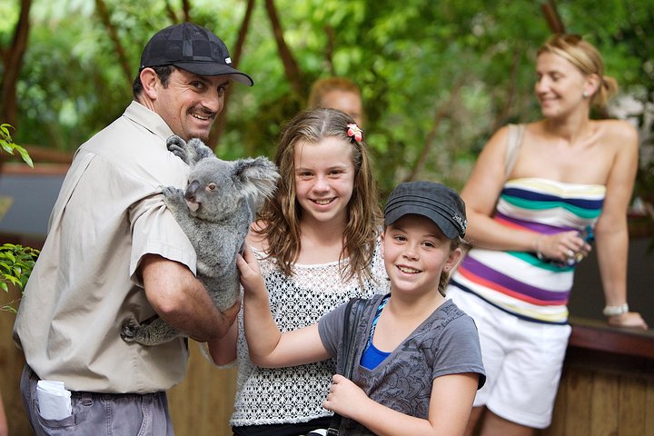 Hartley’s Crocodile Adventures Half-Day Tour from Cairns