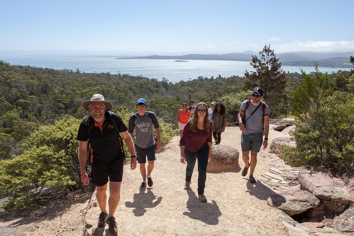 Launceston: Wineglass Bay & Freycinet Explorer Day Trip