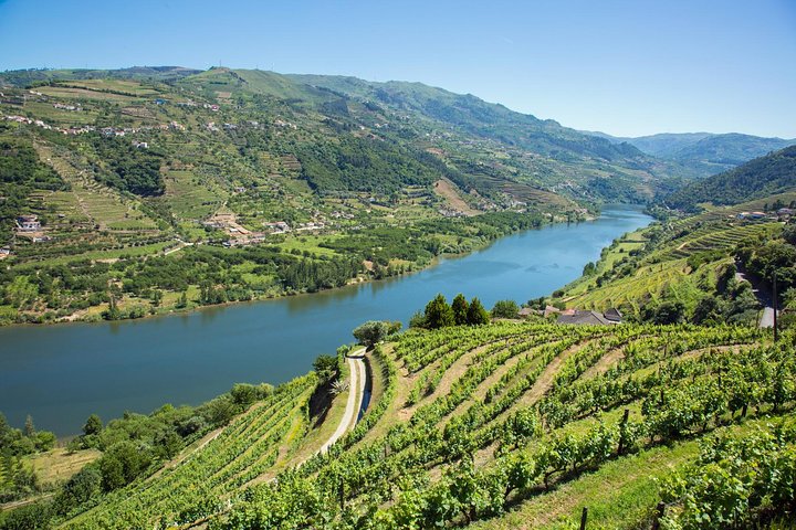 Douro Valley Premium Small-Group Tour: Wine, Lunch & Cruise
