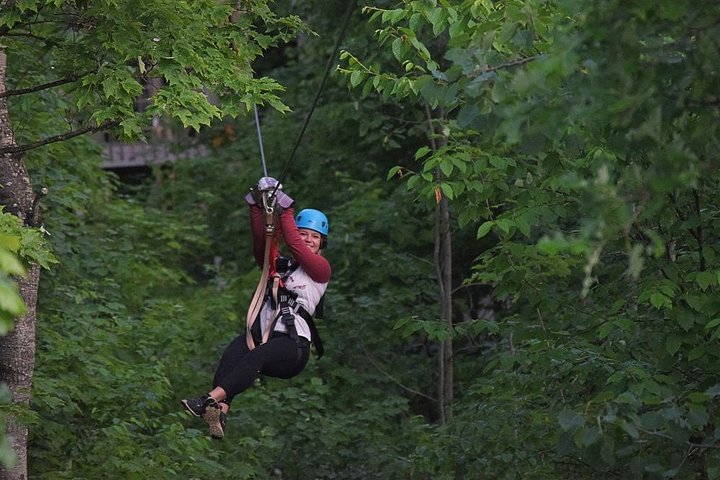 Wildman Zip Line Tour