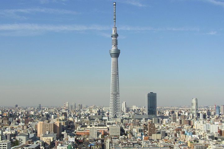 1-Day Tokyo Bus Tour