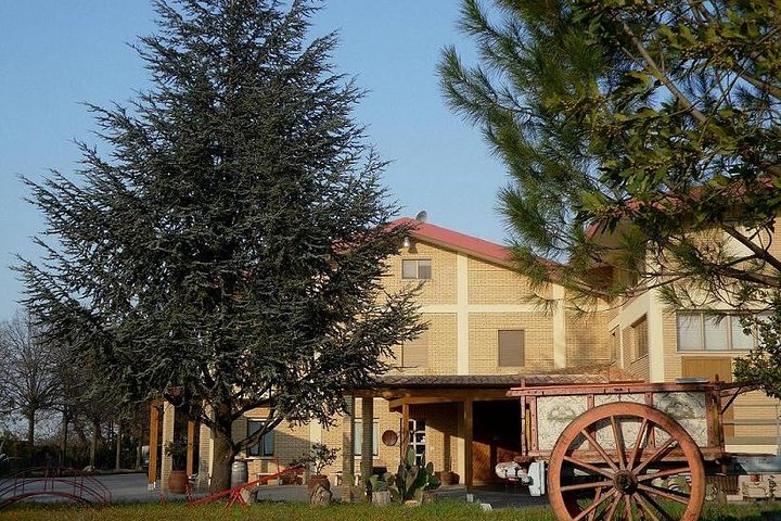 Cantine Bosco Nestore - Wine tour e Tasting