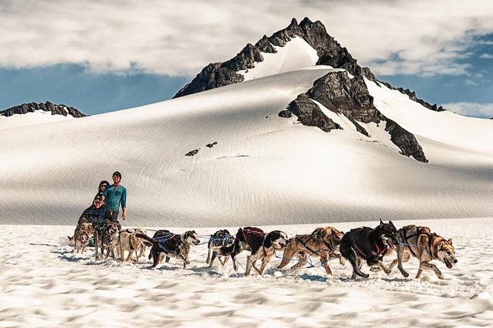 Helicopter Glacier & Dog Sledding Adventure Tour