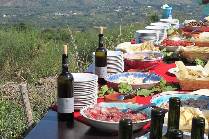 Private 6-Hour Tour of Three Etna Wineries with food&wine tasting