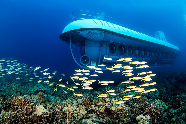 Big Island: Atlantis Submarine from Kona Beach