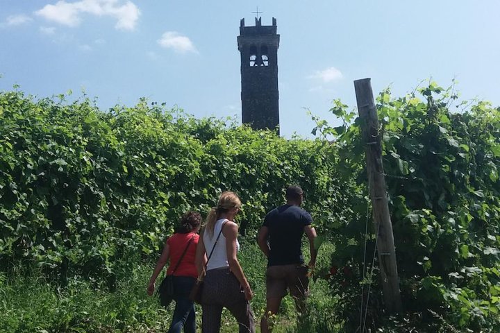 Full day Private Prosecco Tour, with certified Sommelier