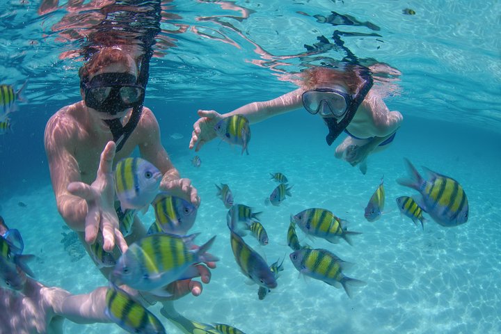Los Cabos Luxury Sailing, Snorkel and Lunch Cruise