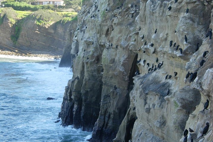 La Jolla Sea Caves Kayak Tour For Two (Tandem Kayak)