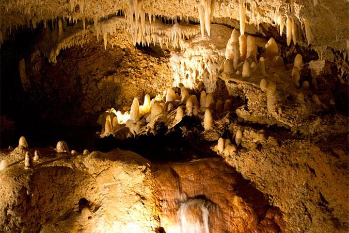 Half-Day Barbados Tour Harrisons Cave Hunte's Garden and Bathsheba