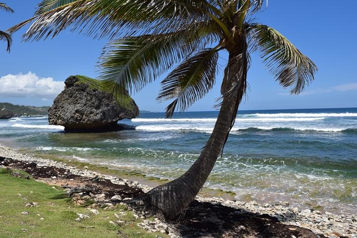 Barbados Island Highlights Half-Day Tour