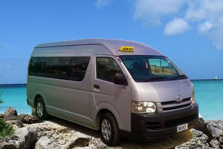 Private Half-Day Barbados Excursion
