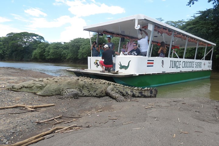 Jungle Crocodile Safari: Tarcoles River Crocodile Tour