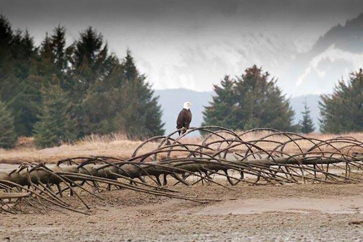 Exclusive Photography Tour Haines Departure
