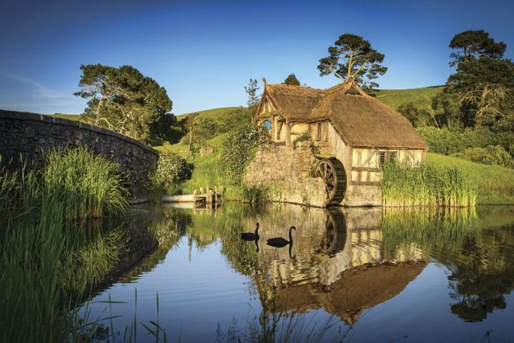 Hobbiton & Waitomo Caves Guided Day Trip from Auckland incl lunch